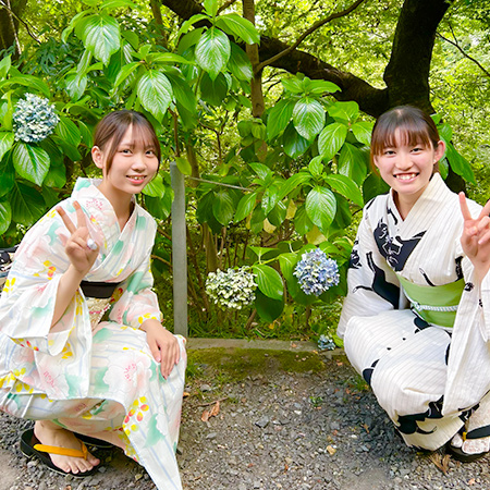 夏らしい浴衣コーディネートの織田着物専門学校着物科学生